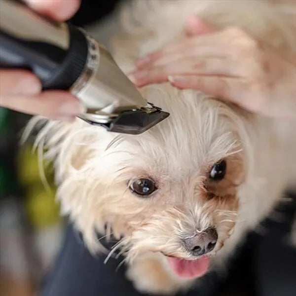 Kit de cortapelos silencioso para perros con peines ajustables