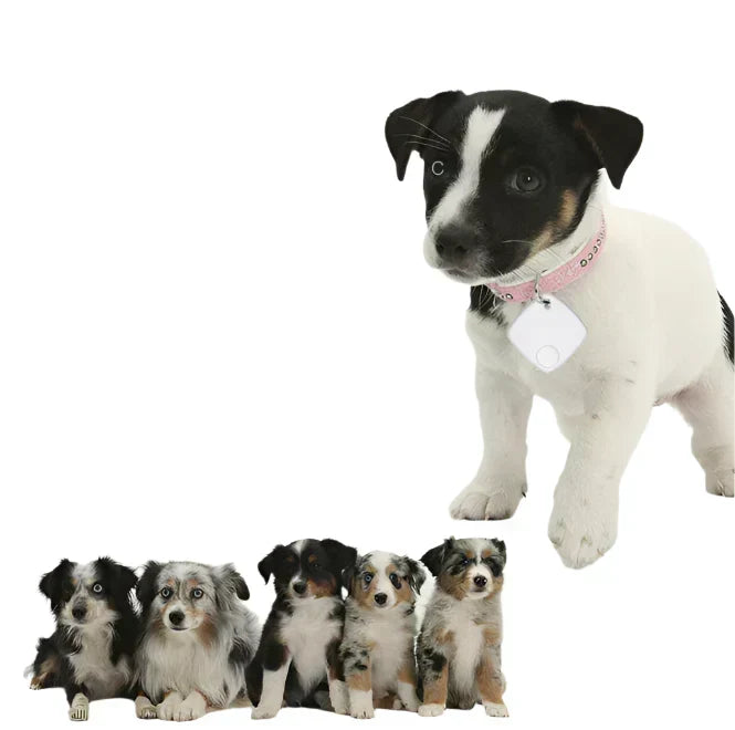 Localizador GPS compacto para mascotas, niños y objetos de valor