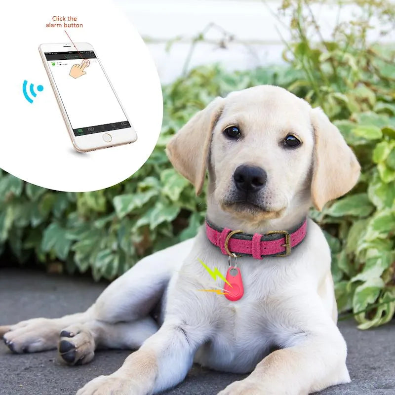 Localizador GPS para mascotas - Ubicación en tiempo real | Resistente al agua
