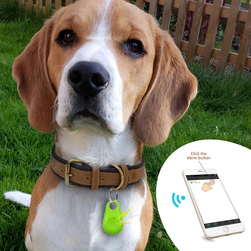 Localizador GPS para mascotas - Ubicación en tiempo real | Resistente al agua