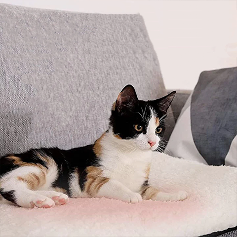 Manta Autocalentable para Gato - De Lujo, Lavable, Sin Necesidad de Electricidad