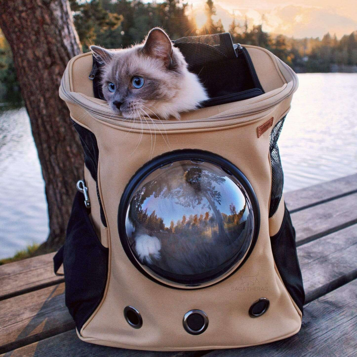 Mochila de viaje grande para gatos con ventana panorámica