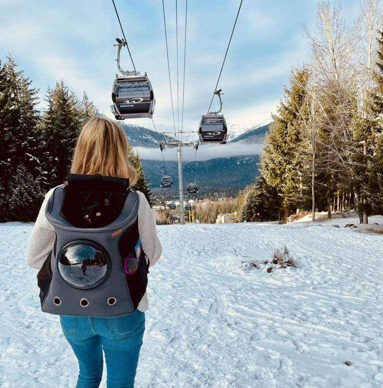 Mochila de viaje grande para gatos con ventana panorámica