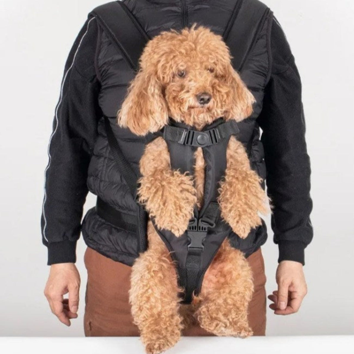 Mochila frontal de transporte para perros para senderismo