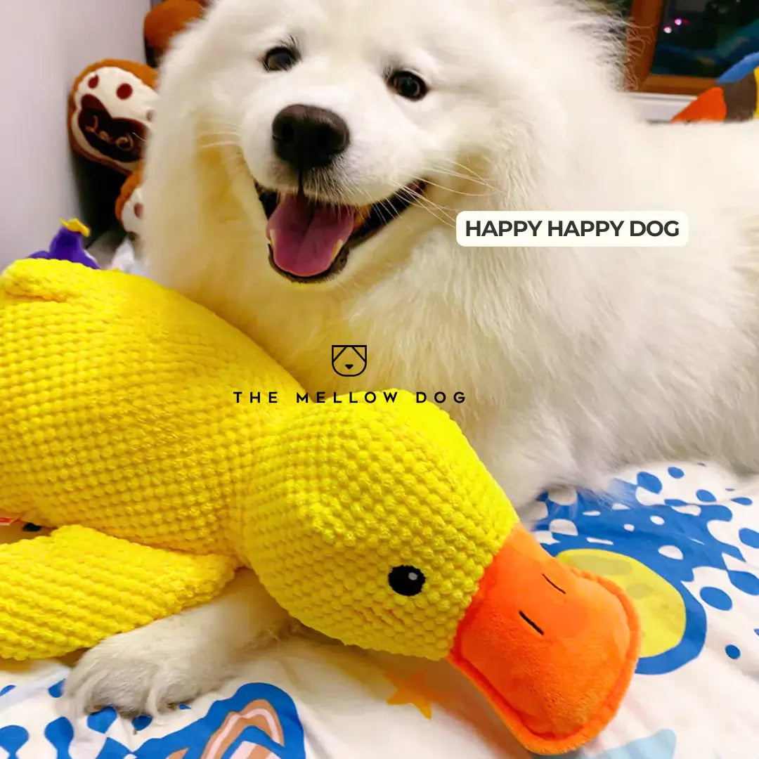 Pato relajante - Juguete para perros para la alegría y el bienestar