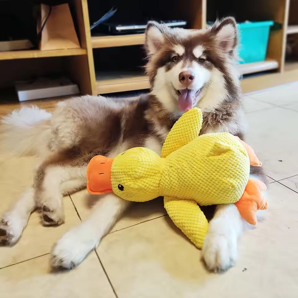 Pato relajante para perros: para la felicidad y el bienestar de su mascota