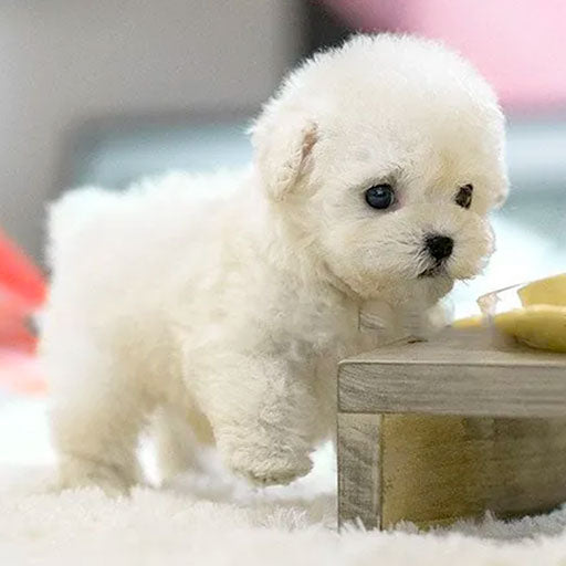 Perro de peluche interactivo y realista | Juguete suave y animado para niños y adultos