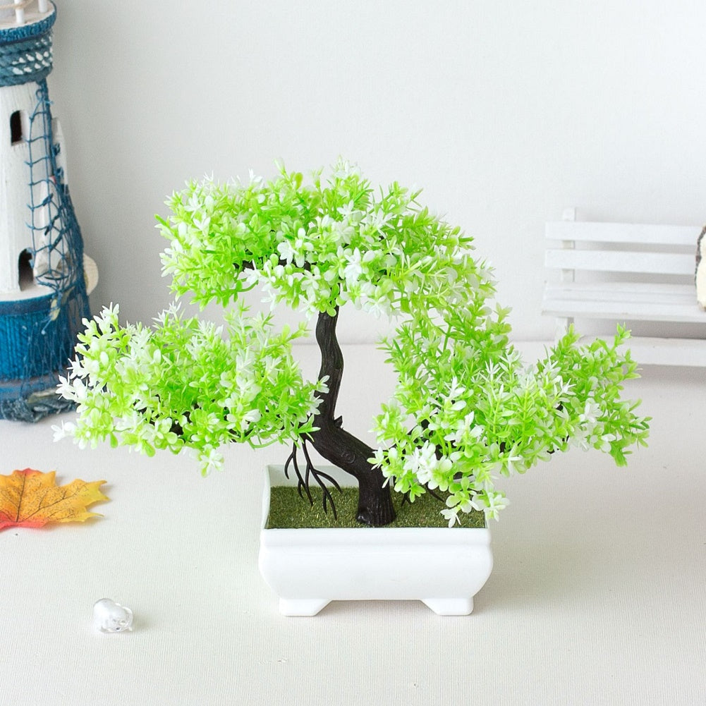 Planta Bonsái