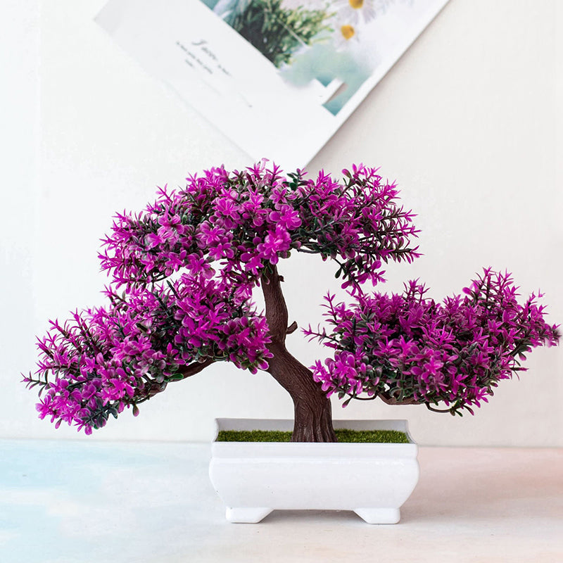 Planta Bonsái