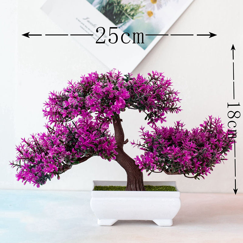 Planta Bonsái