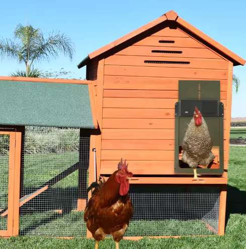 Sistema de puerta automática para gallinero con opciones de energía solar o batería