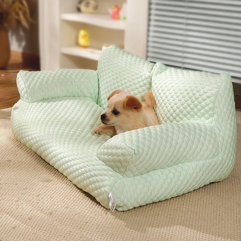 Sofá refrescante para perros