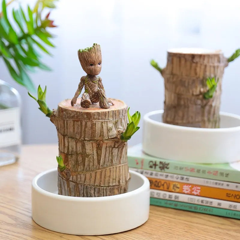 Terrario de madera de la suerte