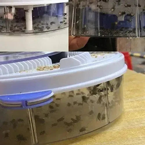 Trampa para moscas automática