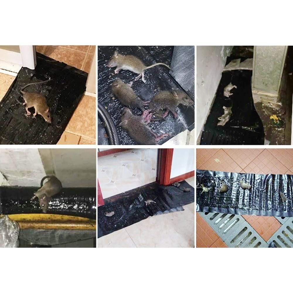 Trampas de pegamento antirratas | Alfombrillas adhesivas grandes para roedores