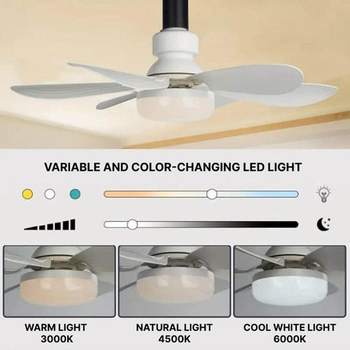 Ventilador de techo