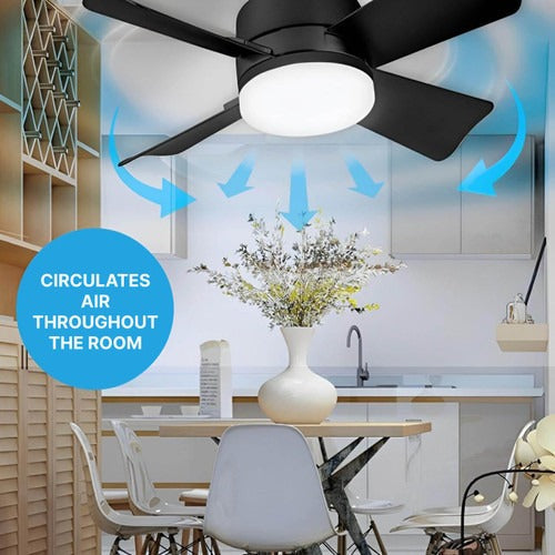 Ventilador de techo